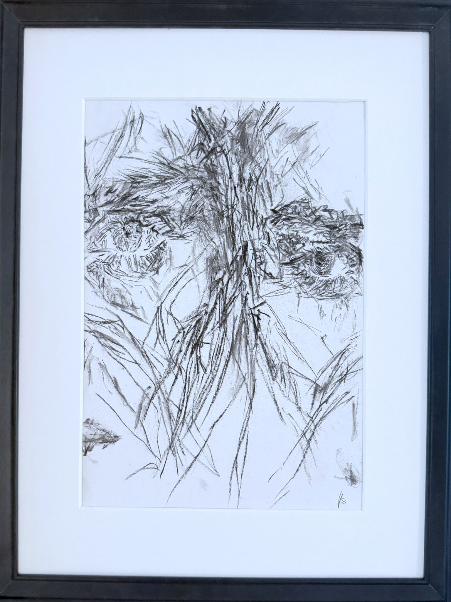 Uprooting - Series 2