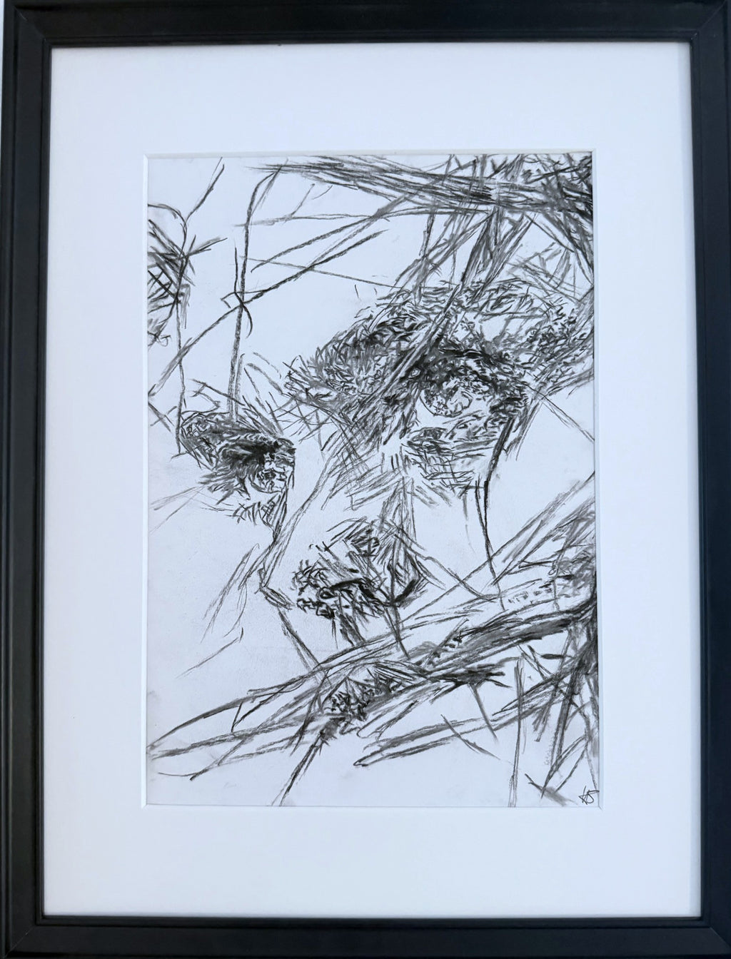 Fight - Studies Zeichnung
