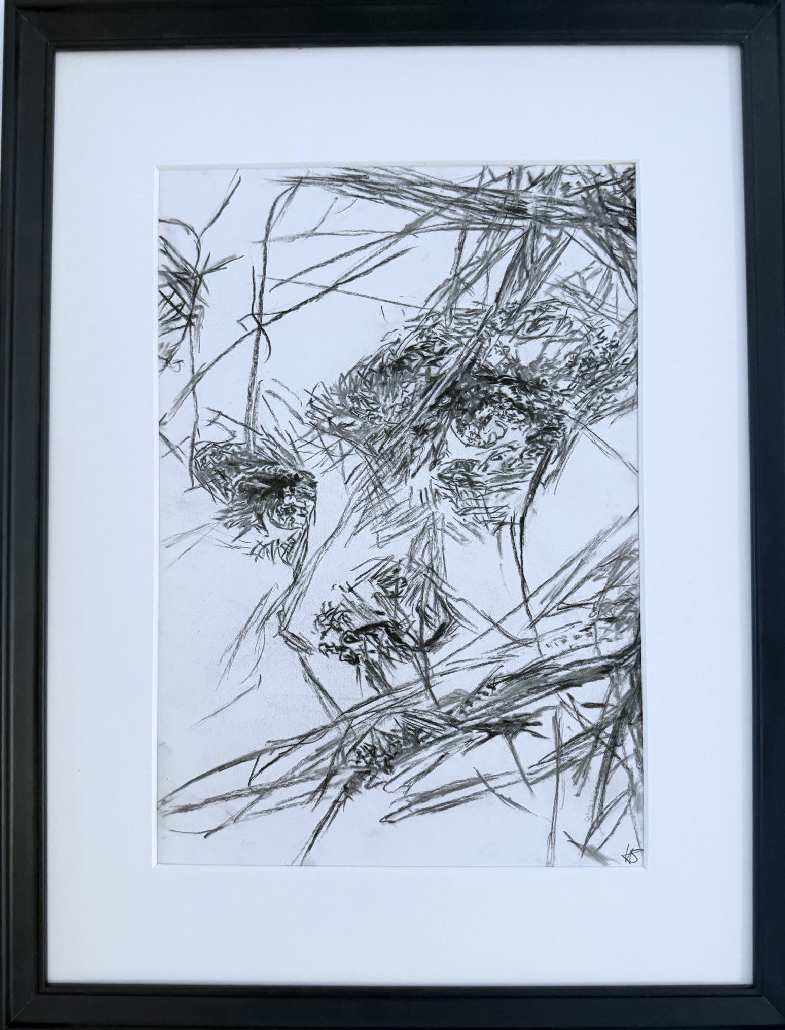 Fight - Studies Zeichnung