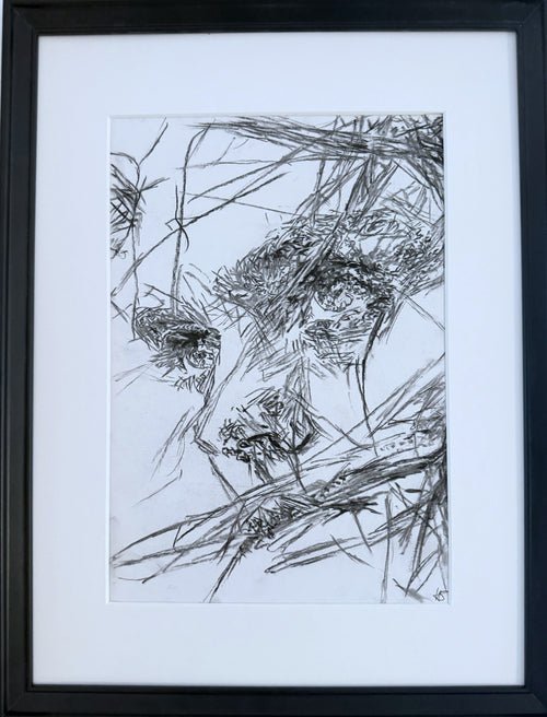 Fight - Studies Zeichnung