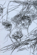 Fight - Studies gerahmt