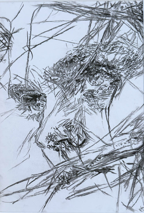 Fight - Studies gerahmt